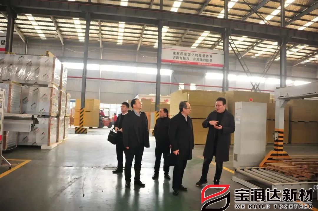 懷寧縣委領(lǐng)導蒞臨寶潤達參觀(guān)交流